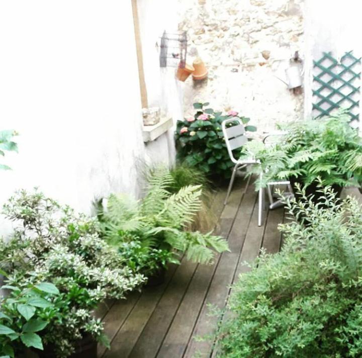 Chambre D'Hote Du Chateau ドゥルダン エクステリア 写真