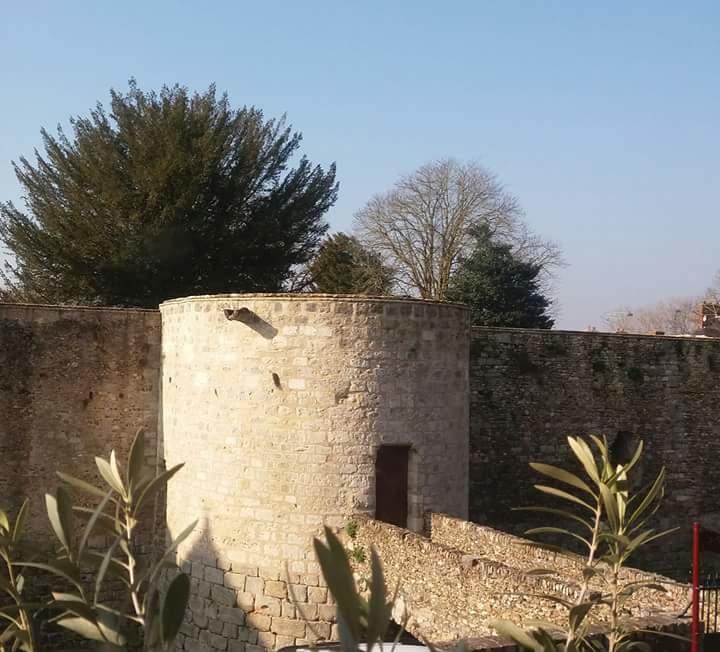 Chambre D'Hote Du Chateau ドゥルダン エクステリア 写真
